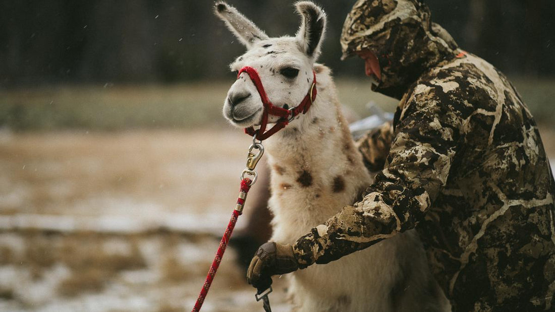 Top Ten Best Backcountry Hunting Gear of 2020-Staff Picks