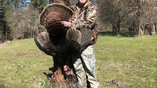 Strategies for Hunting Public Land Turkeys