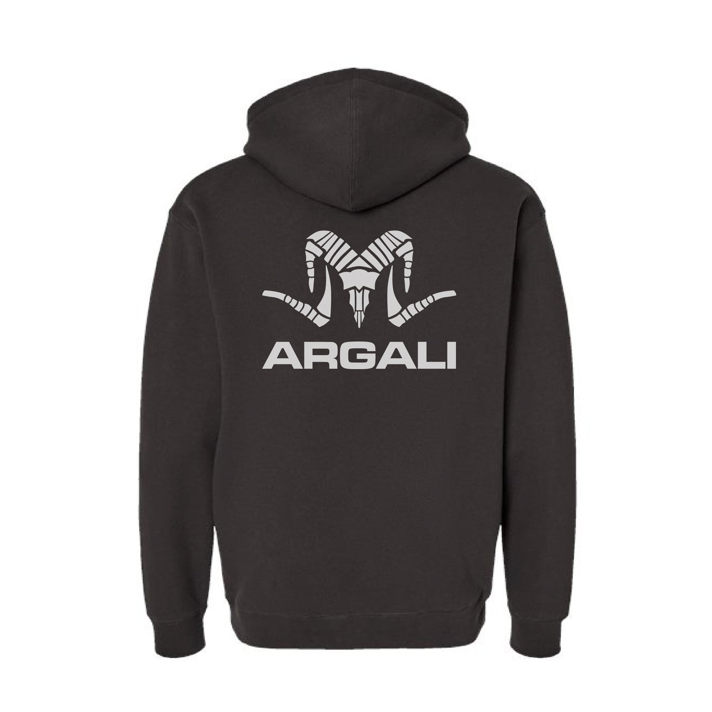 Icon Logo Hoodie 2.0