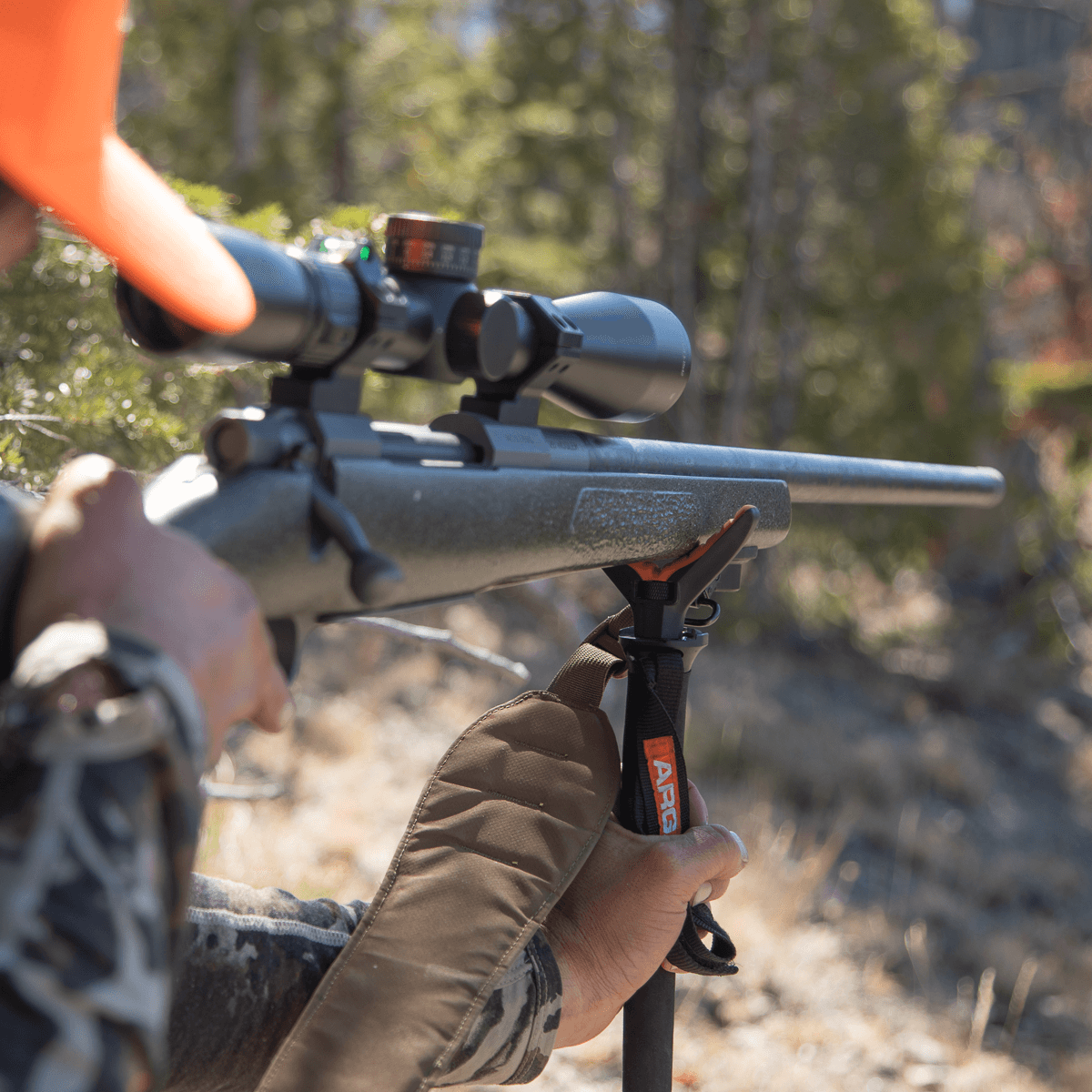 Argali Trekking Poles